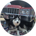 G.M. Monroe Jr. profile picture